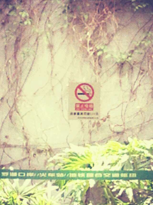 image-20221219104006038